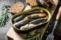 La sardine, un petit poisson aux grands bienfaits ? 