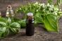 Basilic, fenouil, estragon : faut-il se méfier de certaines huiles essentielles ?