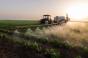 Pourquoi les pesticides sont une menace pour le cerveau des enfants