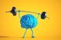 L'activité physique peut-elle freiner le vieillissement du cerveau ?