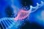 Les mutations génétiques ne seraient pas toujours à l'origine des tumeurs