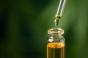Le CBD peut-il vraiment ralentir Alzheimer ?