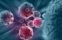Cancers du sang : une nouvelle méthode vaccinale pour une immunothérapie plus efficace ?