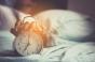 Génétique et sommeil : quel impact sur le risque d’Alzheimer ?