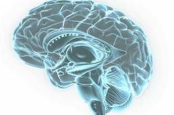 Alzheimer : découverte d’un récepteur impliqué dans la perte de mémoire