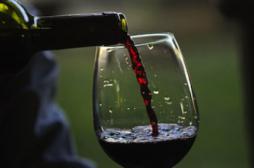 Des chercheurs découvrent enfin pourquoi le vin est bon pour la santé 