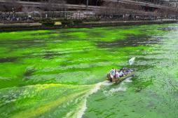 L'eau du Vieux-Port de Marseille passe au vert