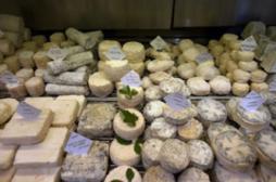 E. coli : pourquoi fallait-il retirer de la vente les 5 fromages infectés 
