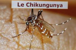 L'épidémie de chikungunya a fait 39 morts aux Antilles
