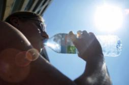Les carences en vitamine D suspectées d'augmenter l'asthme