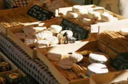 Des fromages de chèvre contaminés sont retirés de la vente