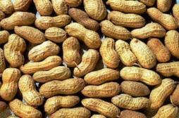 Allaitement : consommer des cacahuètes réduit les risques d'allergie