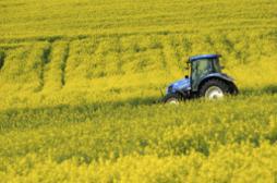 L'affaire Giboulot pointe les dangers des pesticides sur la santé