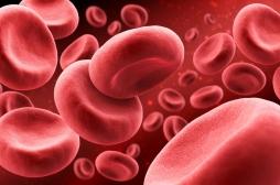 Une révolution dans le traitement de la polyglobulie de Vaquez