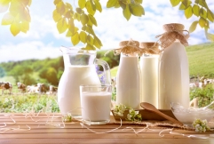 Tout ce que vous devez savoir sur le lait