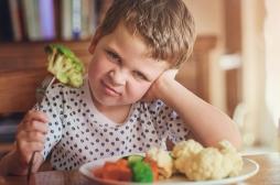 Comment faire apprécier les nouveaux aliments à votre enfant ?