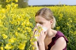 Covid-19 et pollens : des précautions à prendre ... mais éviter la psychose !