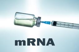 Vaccin à ARNm et cancer : un nouveau chapitre dans l'histoire de la médecine ?