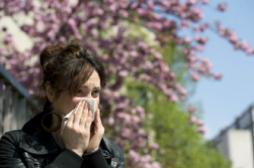 Pollen : comment se déclenche une réaction allergique