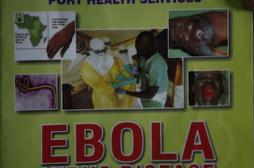 Ebola : comment la France se prépare en 4 points