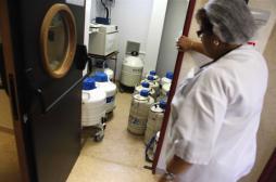 CHU d’Angers : 17 prélèvements d’ovules détruits accidentellement