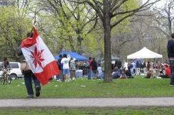 Canada : la légalisation du cannabis se précise