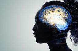 L’imagerie révèle comment le cerveau est impacté par le vieillissement