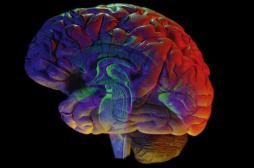 Epilepsie : les objets connectés améliorent la prise en charge