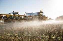 Monsanto : coupable de violation des droits de l’Homme et d’écocide 