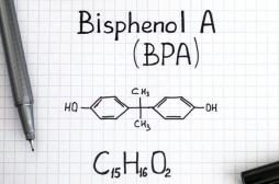 L’exposition au bisphénol A a des conséquences sur plusieurs générations