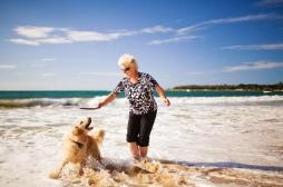 Seniors : avoir un chien permet de lutter contre la sédentarité 