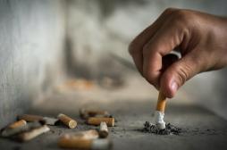 Age, hommes ou femmes : mais qui sont les anciens fumeurs ? 