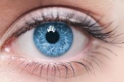 Vision : des chercheurs remettent en question les liens entre l’œil et le cerveau 