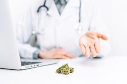 L’expérimentation du cannabis thérapeutique sera proposée au budget de la Sécurité sociale 