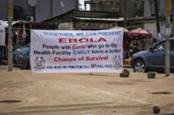 Ebola : 