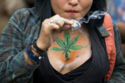 Cannabis : l'Uruguay légalise mais surveille