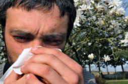 Allergies : les graminées sévissent toujours en France