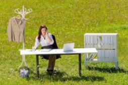 Les plantes vertes au travail rendent les employés plus épanouis