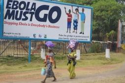 Ebola : le virus persiste 2 ans dans le sperme