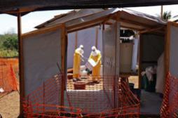 Ebola : « Le risque que le virus arrive en France est faible mais pas nul »
