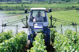 Pesticides : une étude alarmante sur leur toxicité