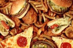 Alimentation : pourquoi le gras nous apporte du plaisir ? 