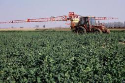 Santé : l'Europe disculpe les pesticides