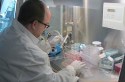 Grippe H7N9 : l'Institut Pasteur prêt à faire face