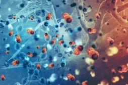Cancer : le soigner grâce au mécanisme d’autodestruction des cellules