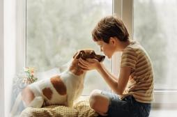 Comportement : les chiens seraient bons pour le développement des enfants 