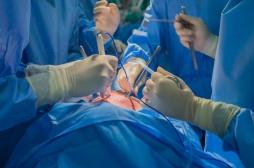 Greffe de foie de porc sur l’Homme : un espoir pour les patients en attente ?