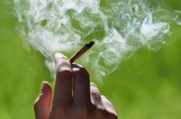Cannabis : quels effets délétères à 35 ans d'une consommation régulière à l'adolescence ?