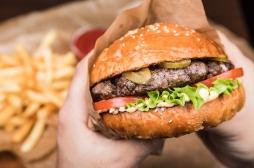 Microbiote intestinal : quelques repas trop gras suffisent pour le dégrader