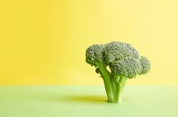 AVC : un composé du brocoli pourrait aider à le prévenir et le traiter  